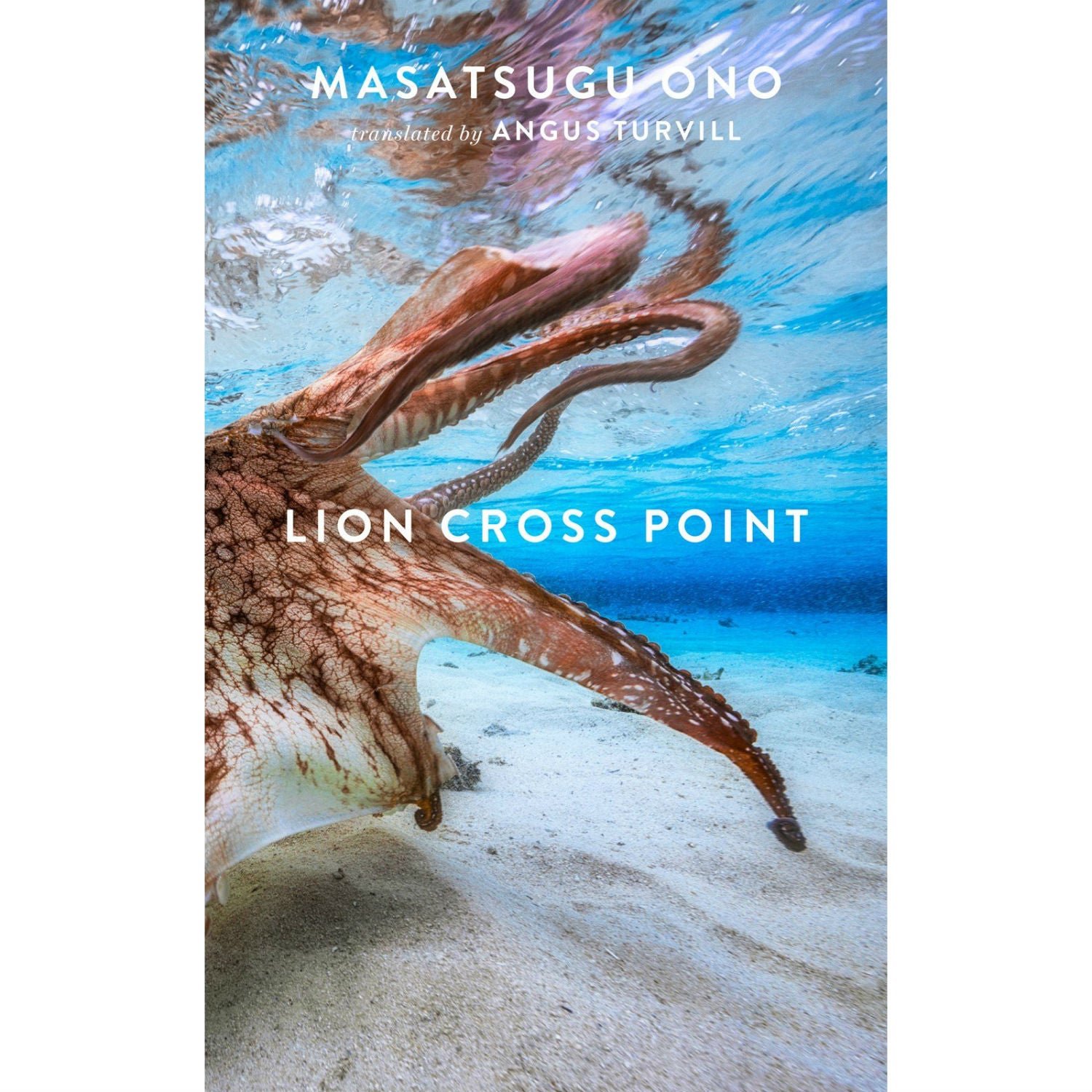 Lion Cross Point