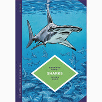 Little Book Of Knowledge: Sharks