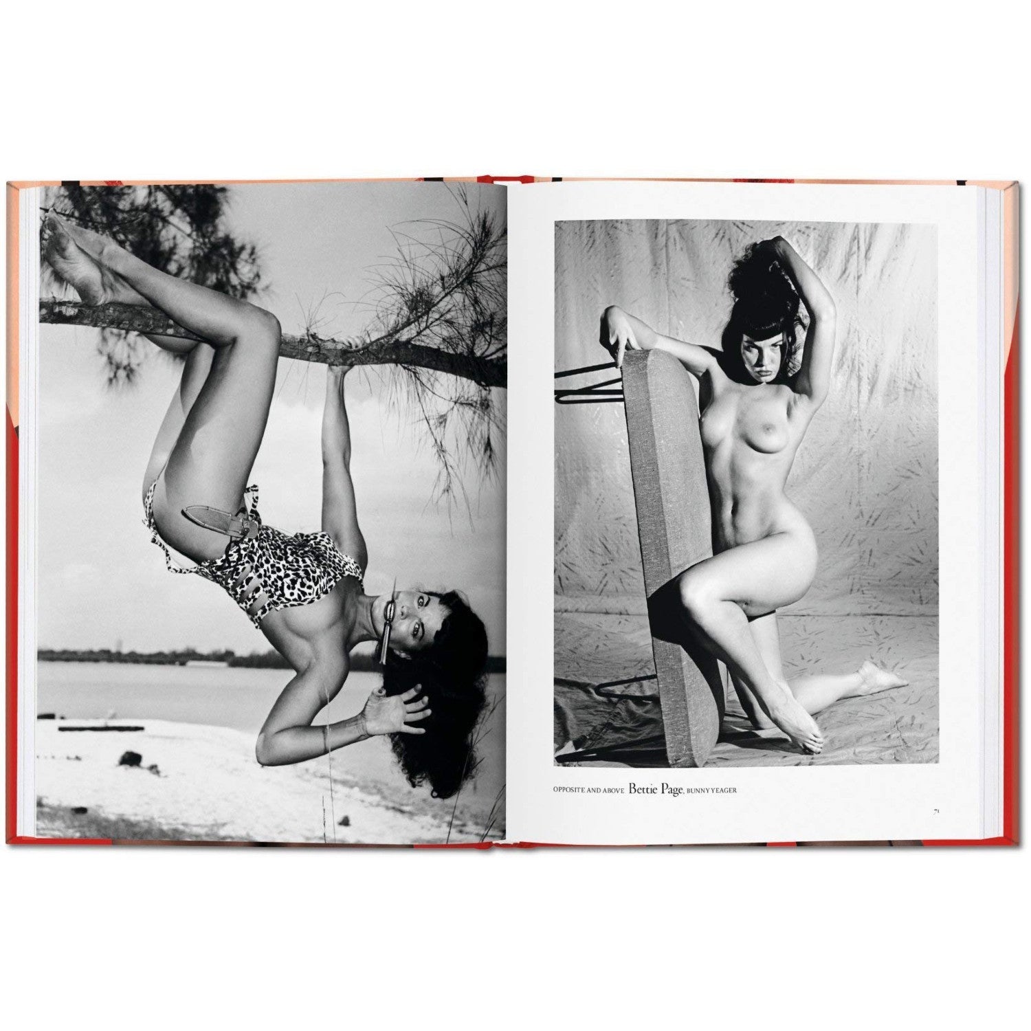 The Little Book of Legs