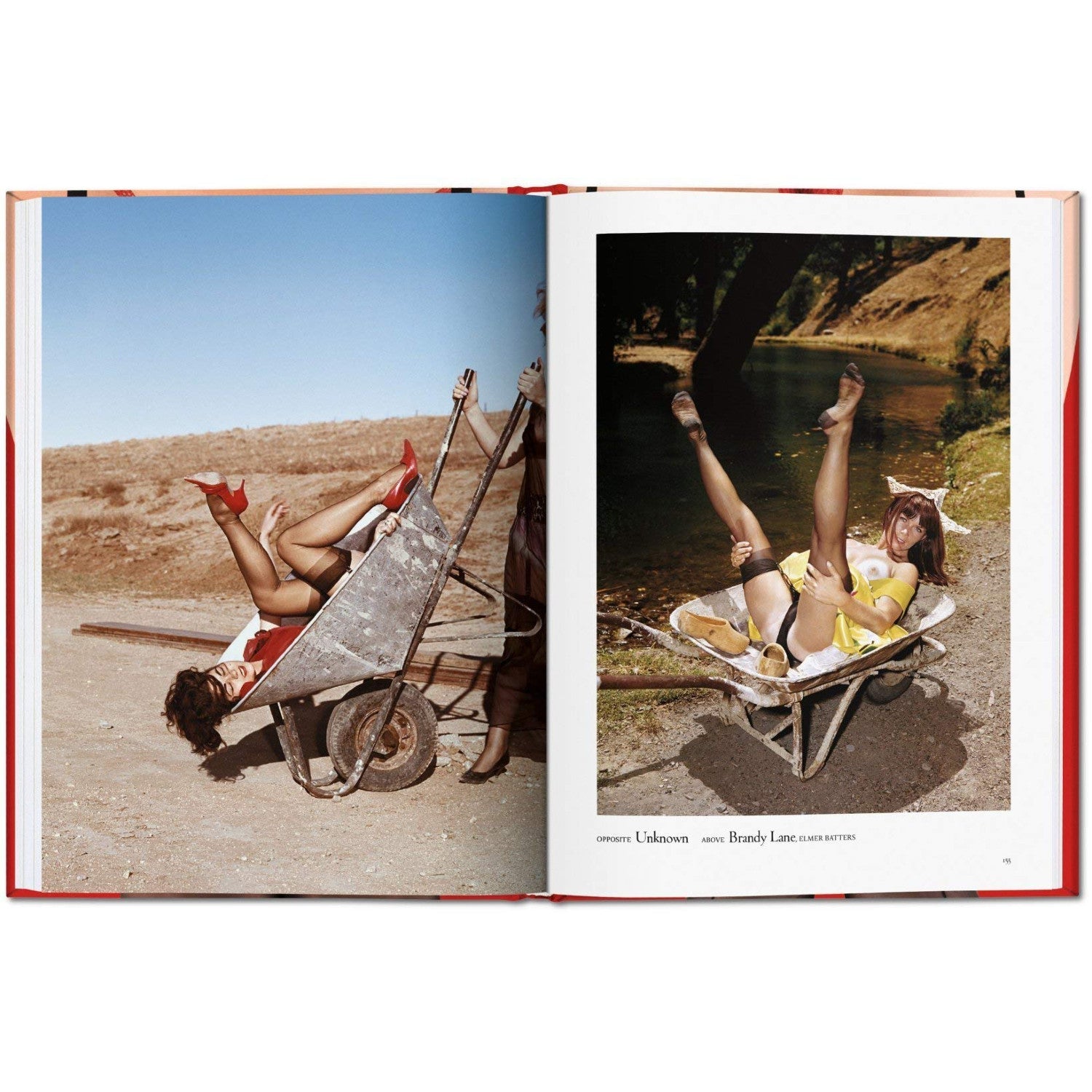 The Little Book of Legs