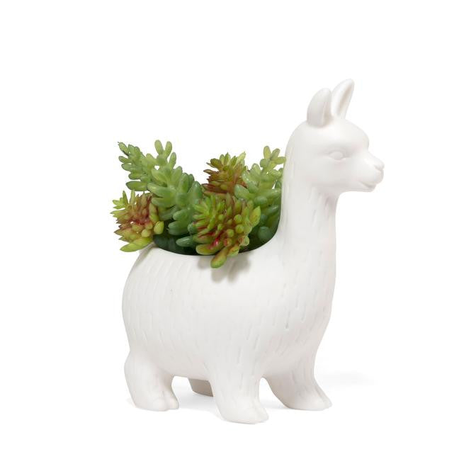 Lloyd The Llama Planter
