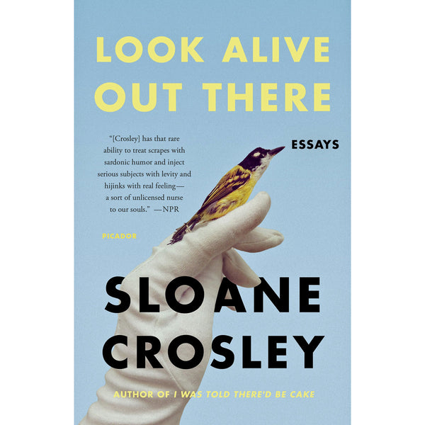 Look Alive Out There: Essays