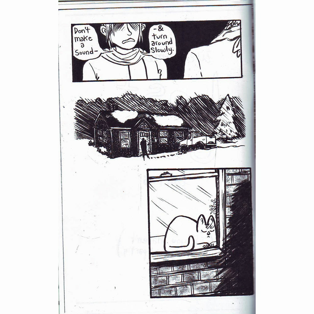 Lost Cats #5