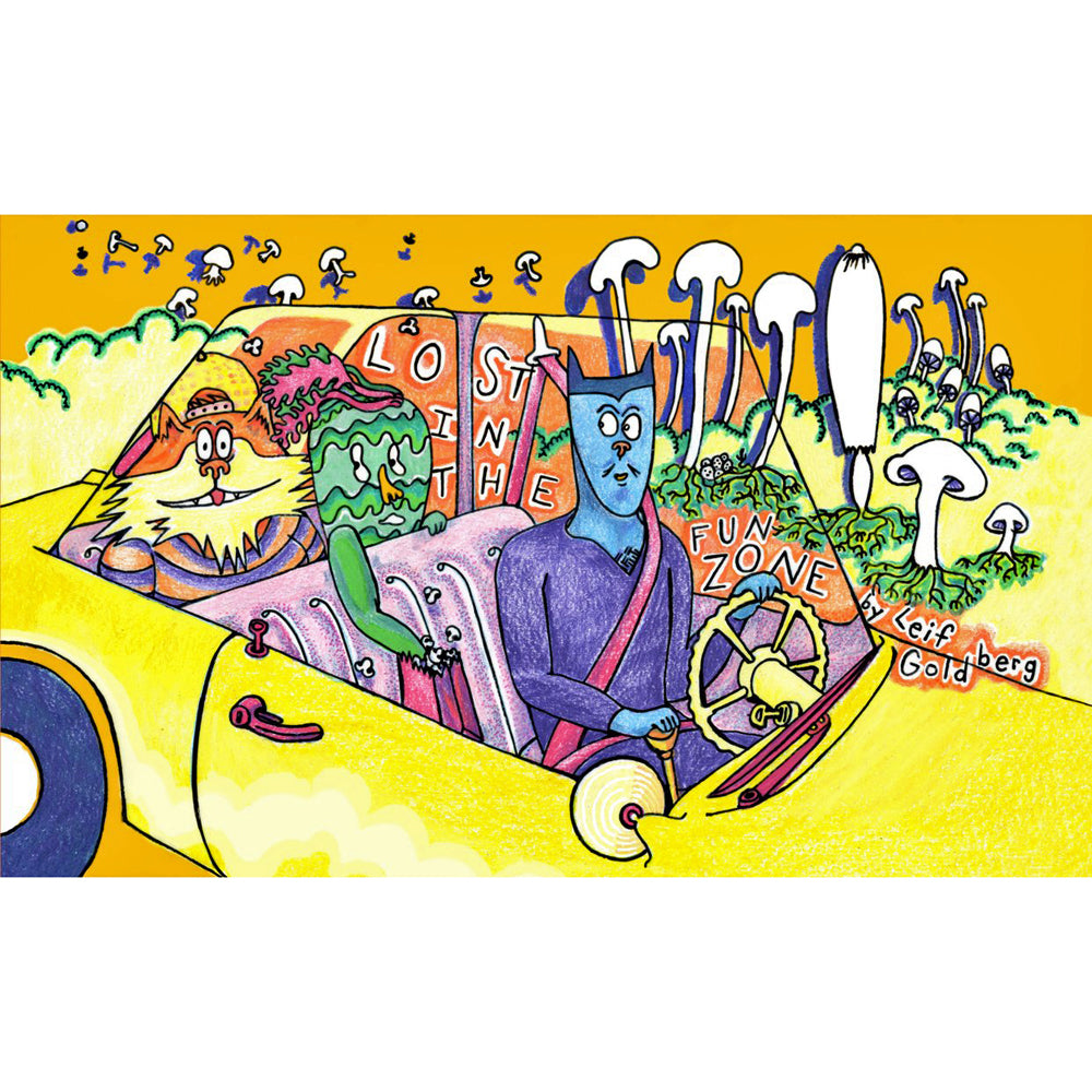 Lost in the Fun Zone