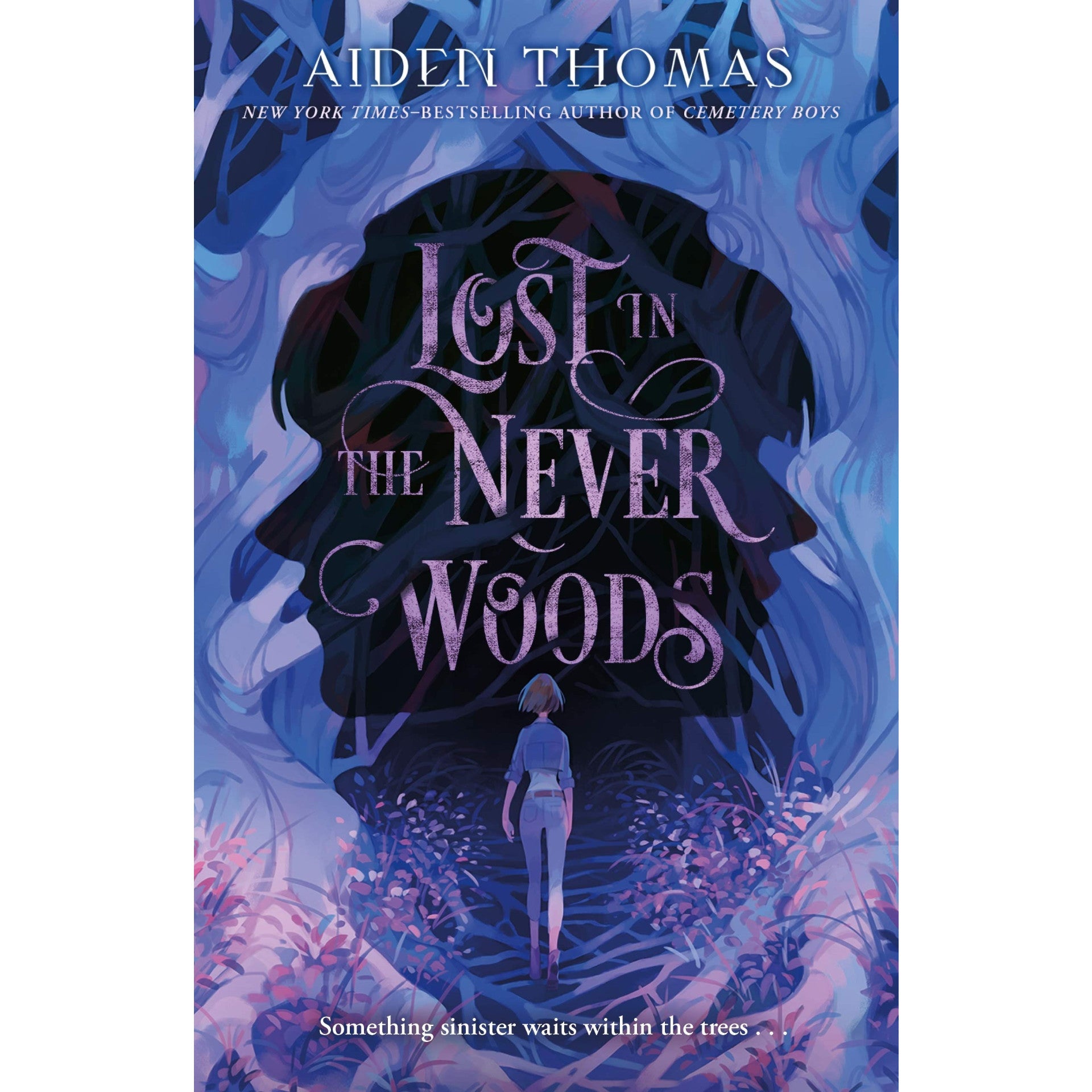 Lost in the Never Woods