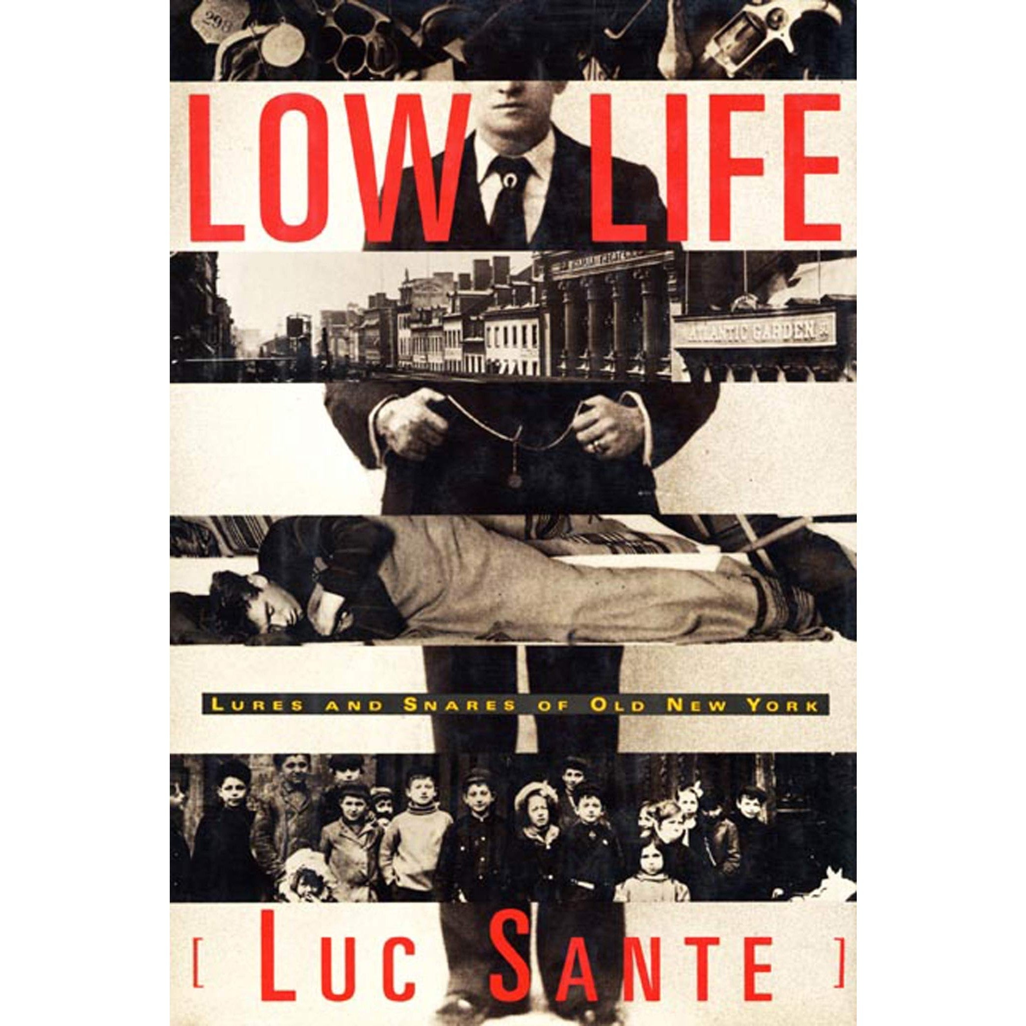 Low Life: Lures and Snares of Old New York