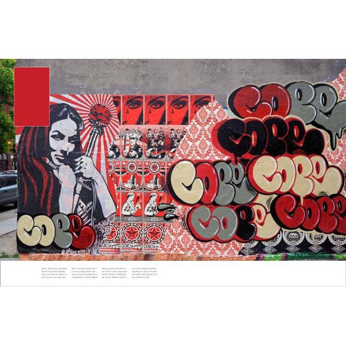 MAYDAY: The Art of Shepard Fairey