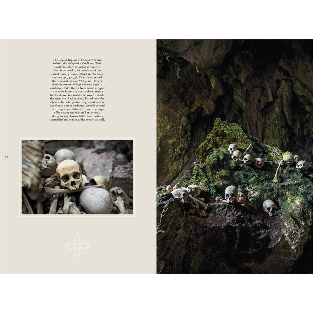 Memento Mori: The Dead Among Us 