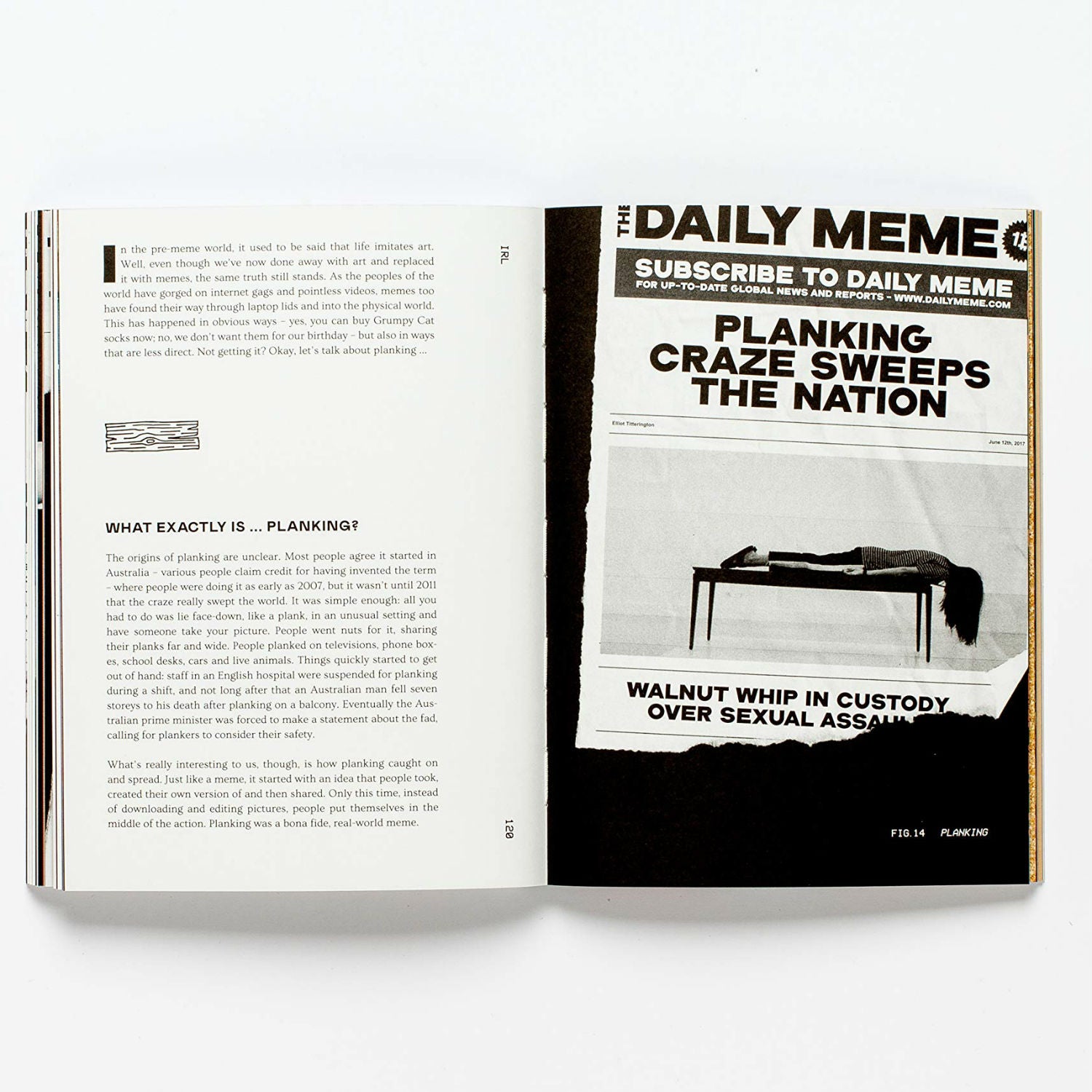 Memeing of Life: A Journey Through the Delirious World of Memes