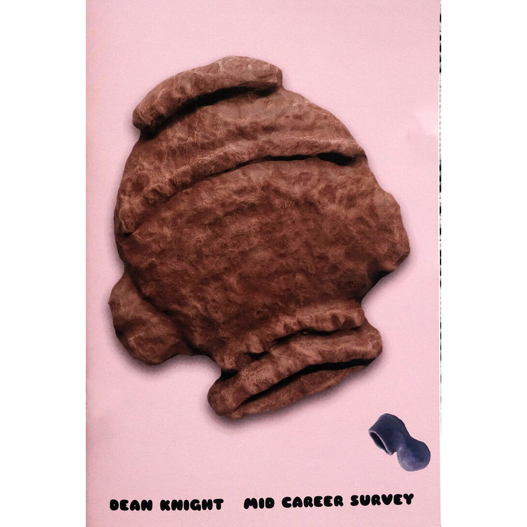 Dean Knight: Mid Career Survey
