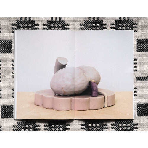 Dean Knight: Mid Career Survey