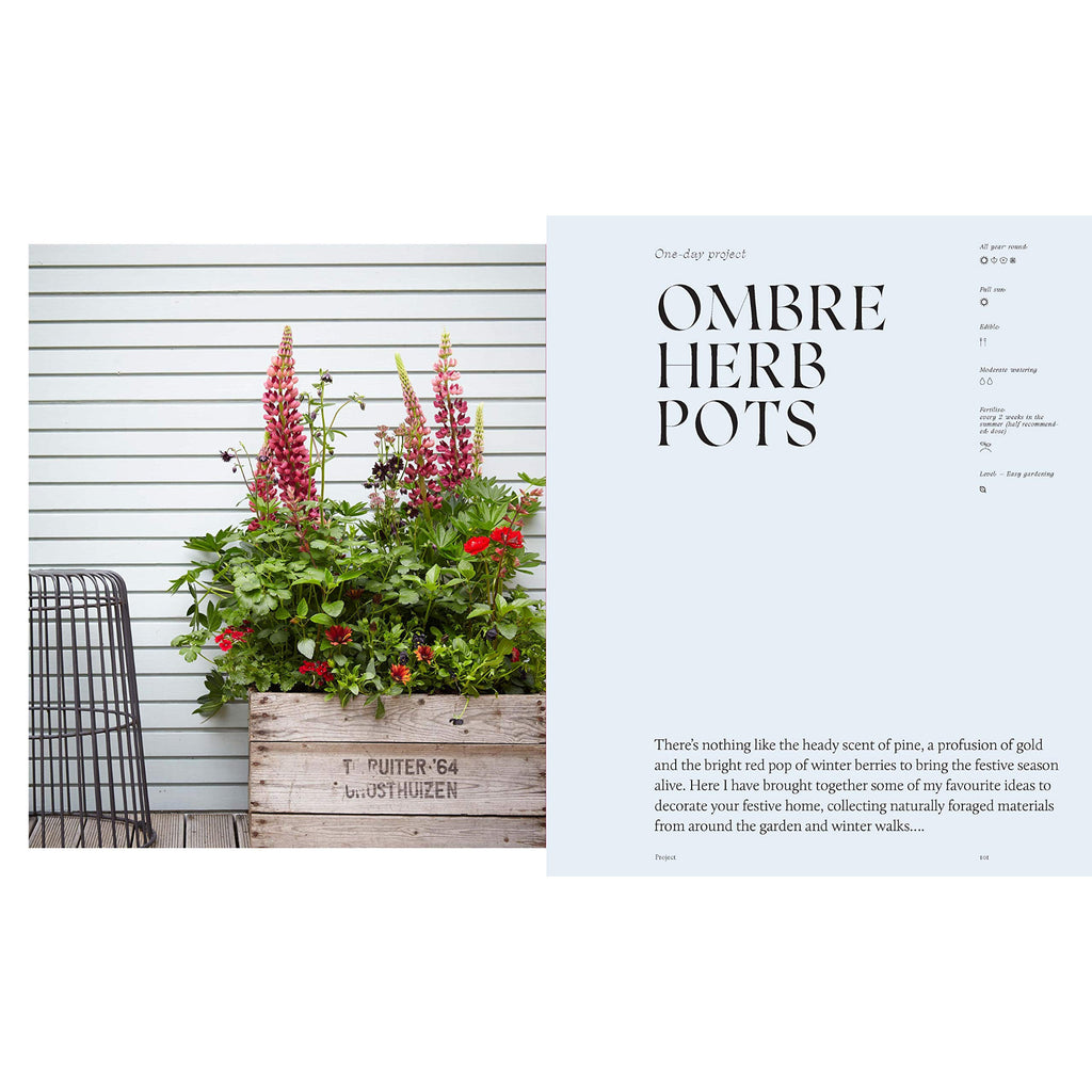 Modern Container Gardening