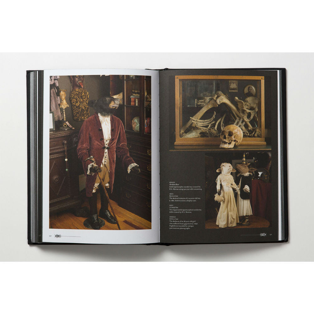Morbid Curiosities: Collections of the Uncommon and the Bizarre