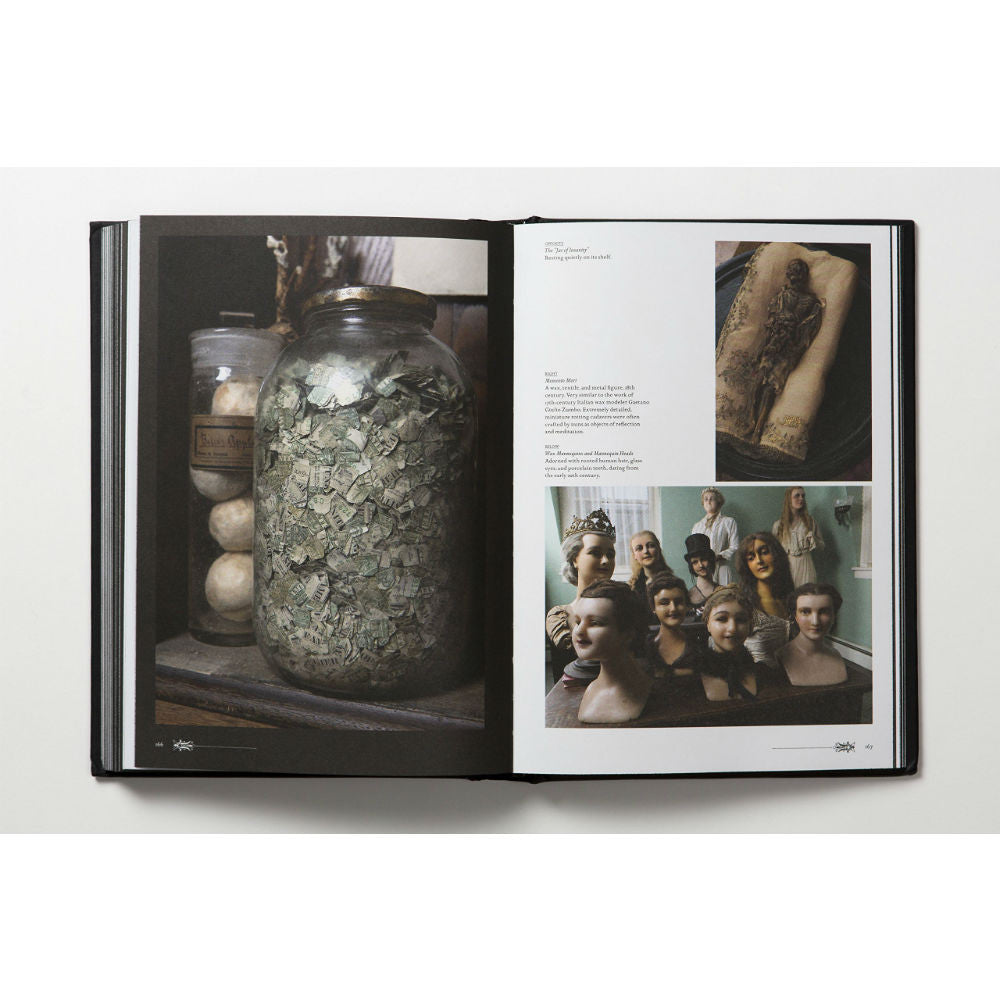 Morbid Curiosities: Collections of the Uncommon and the Bizarre
