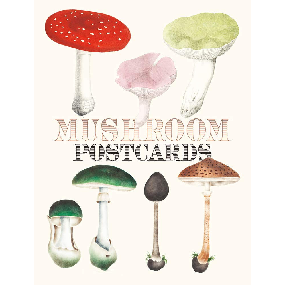 Mushroom Postcards Tankobon 