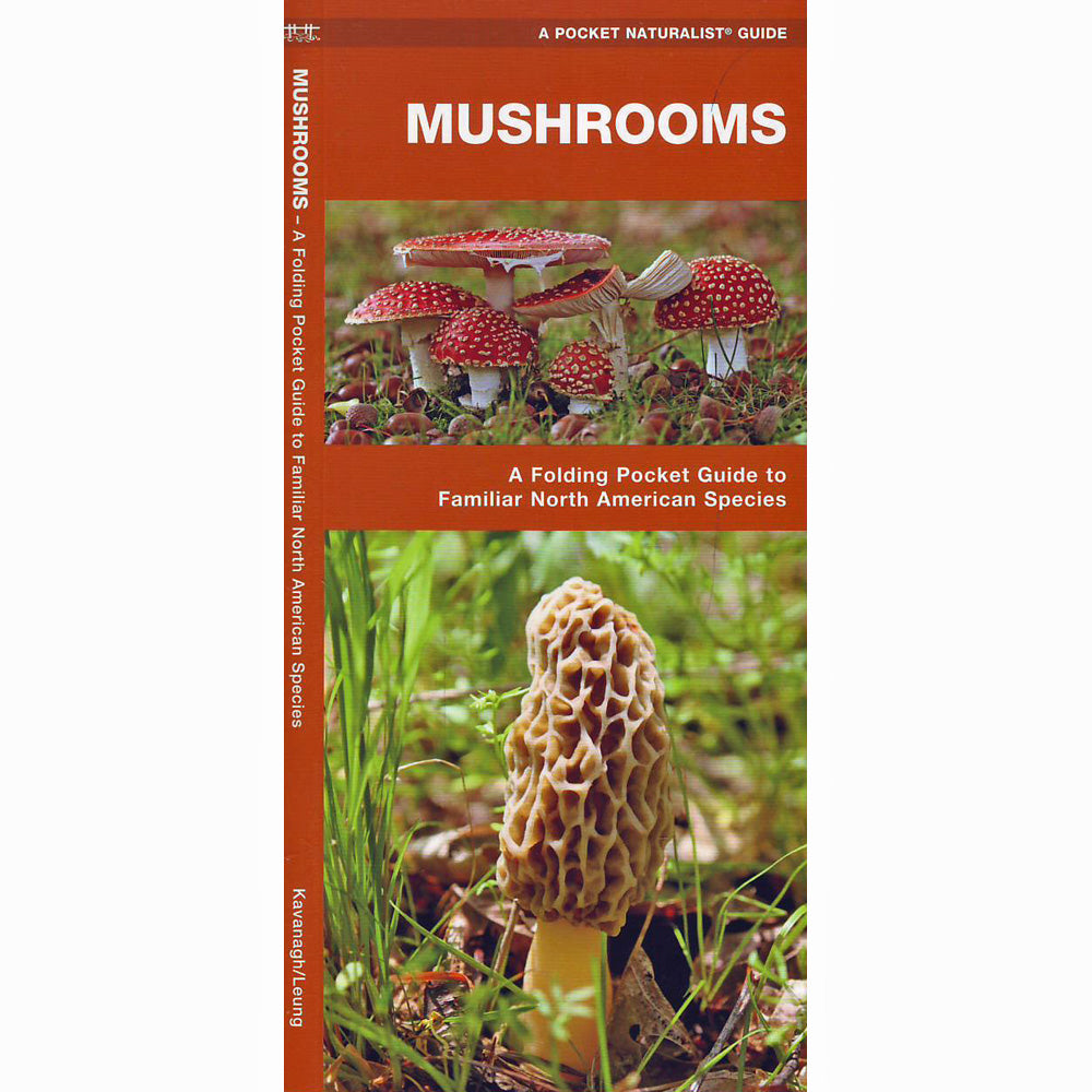 Mushrooms: A Folding Pocket Guide to Familiar North American Species