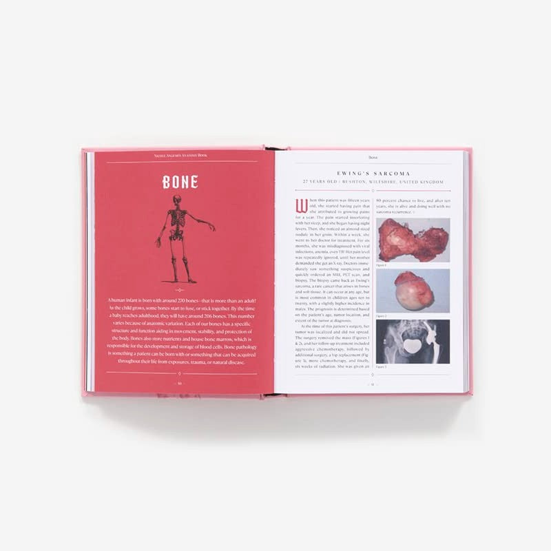 Nicole Angemi's Anatomy Book
