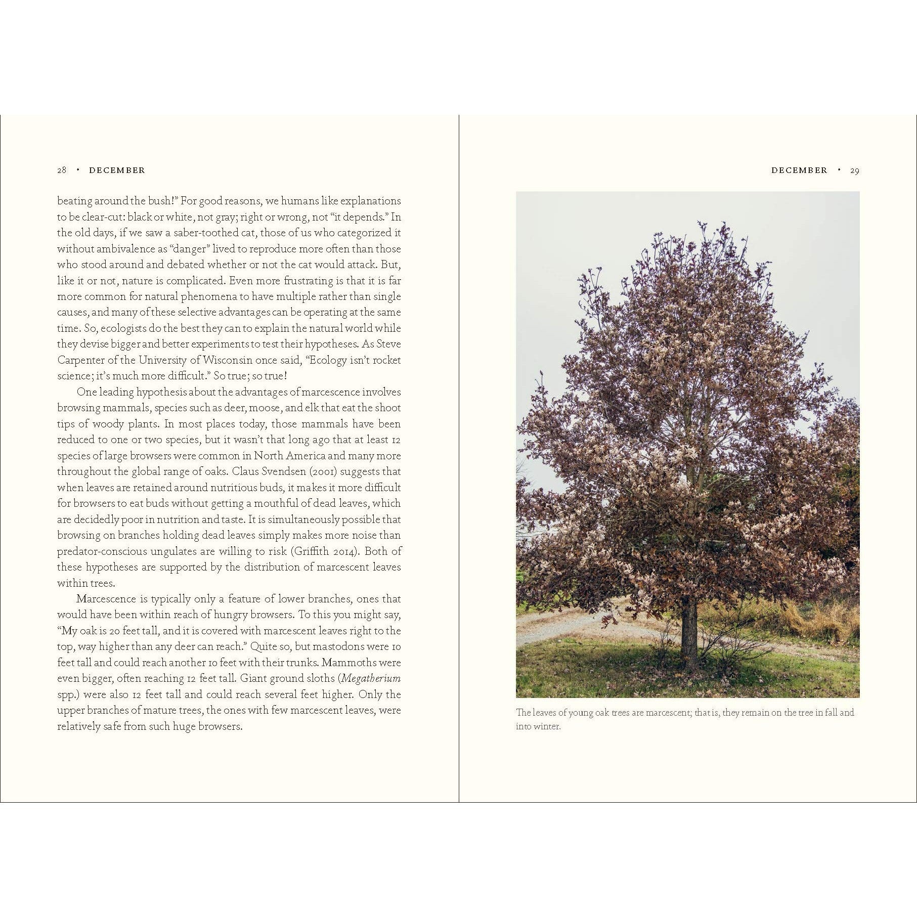 The Nature of Oaks: The Rich Ecology of Our Most Essential Native