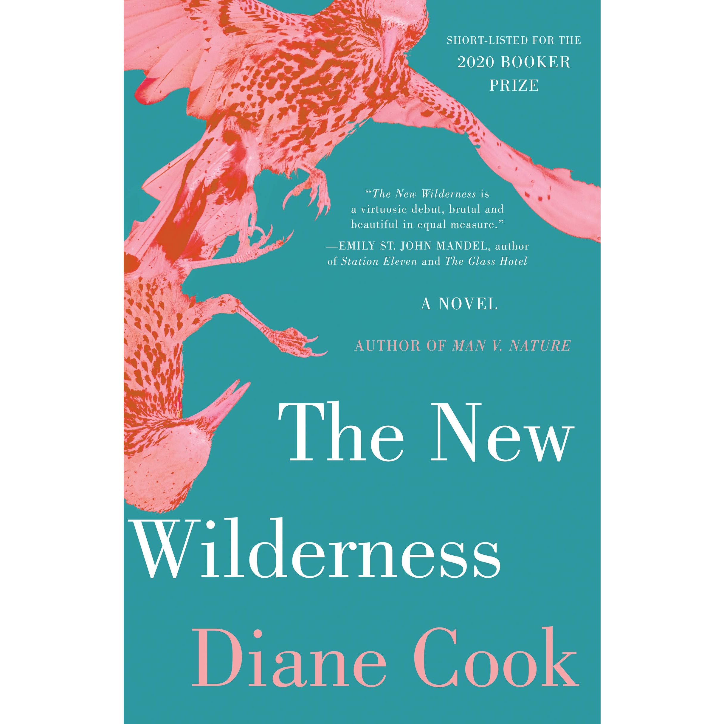 The New Wilderness