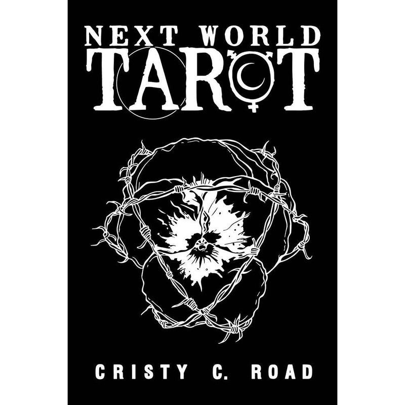 Next World Tarot Deck And Guidebook