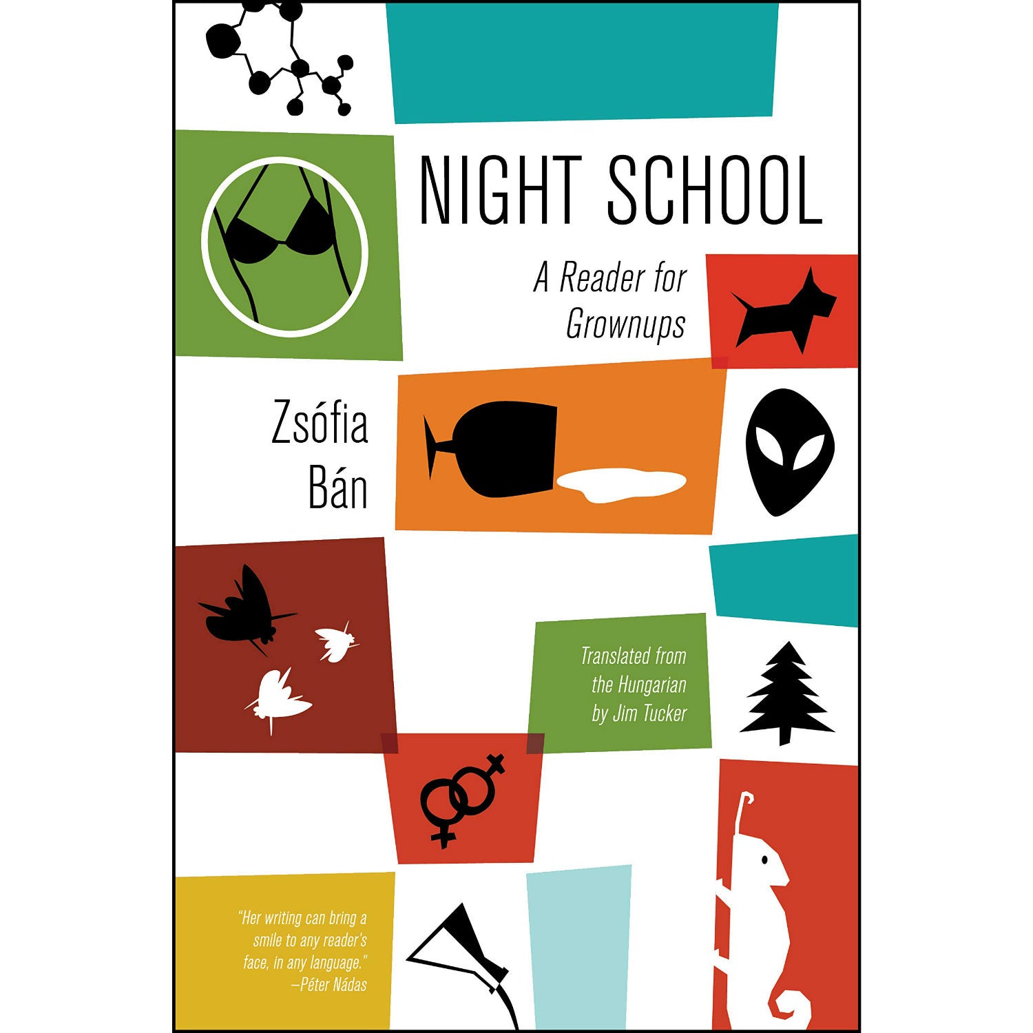 Night School: A Reader for Grownups
