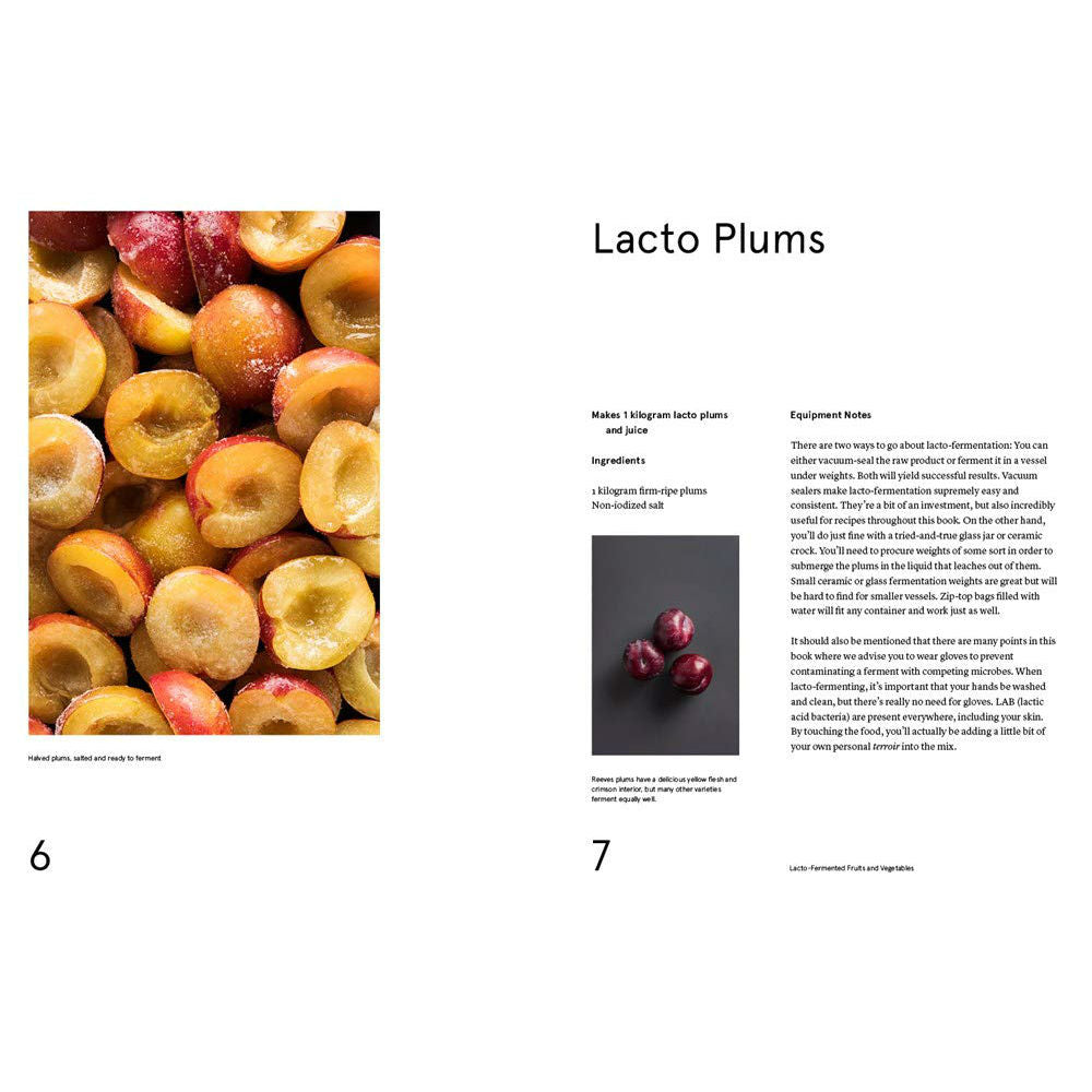 The Noma Guide to Fermentation – Atomic Books