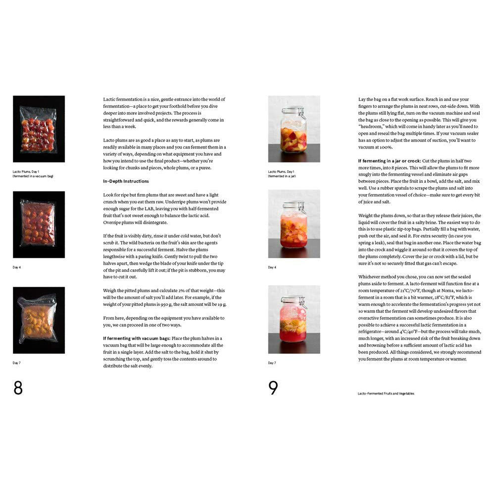 Noma Guide to Fermentation