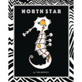 North Star