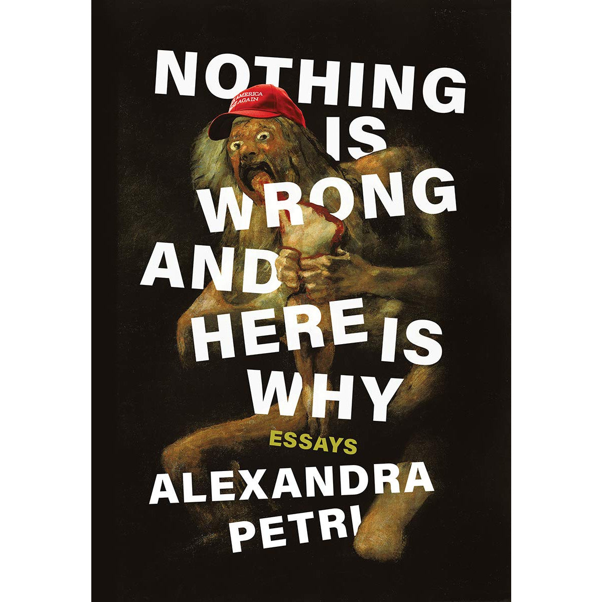 Nothing Is Wrong and Here Is Why: Essays