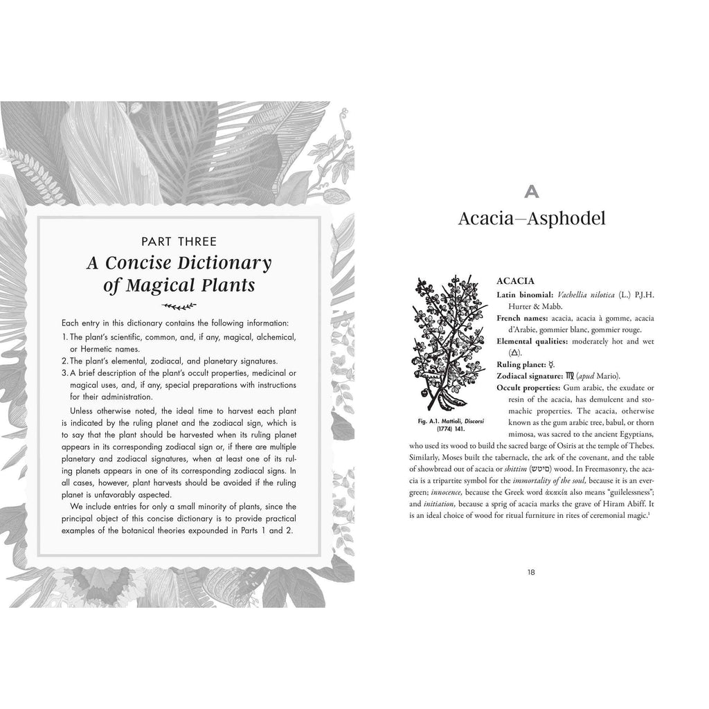 Occult Botany