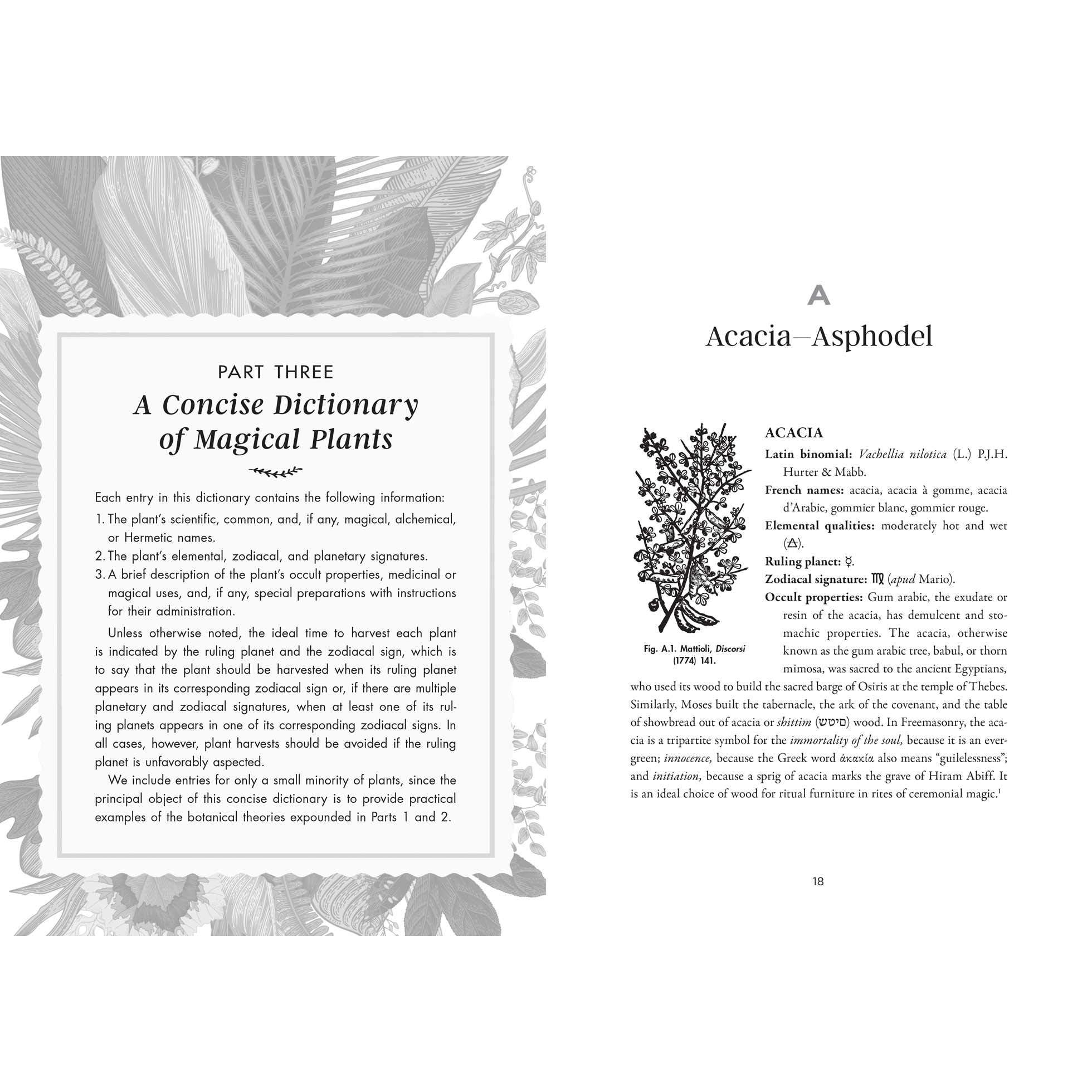 Occult Botany