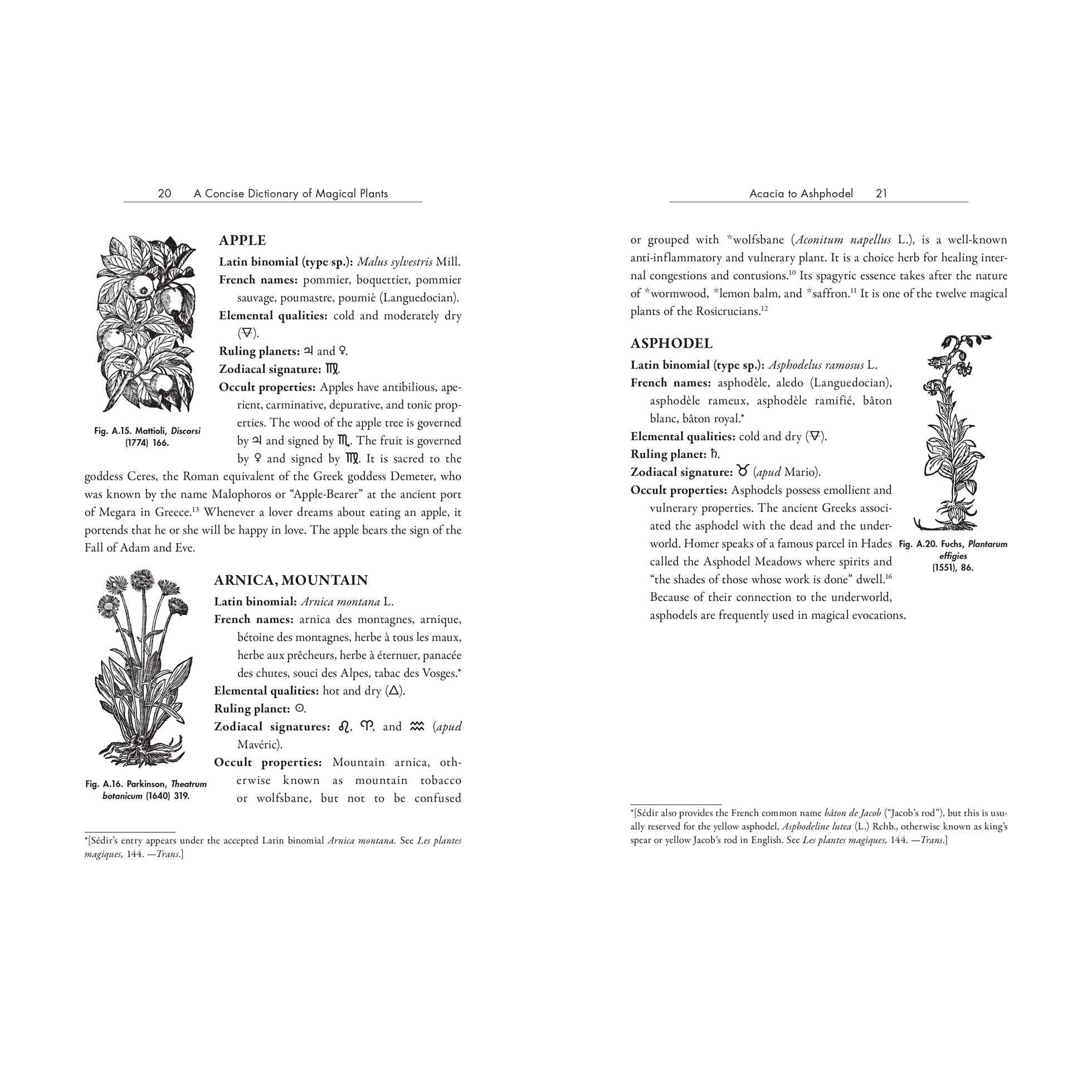 Occult Botany