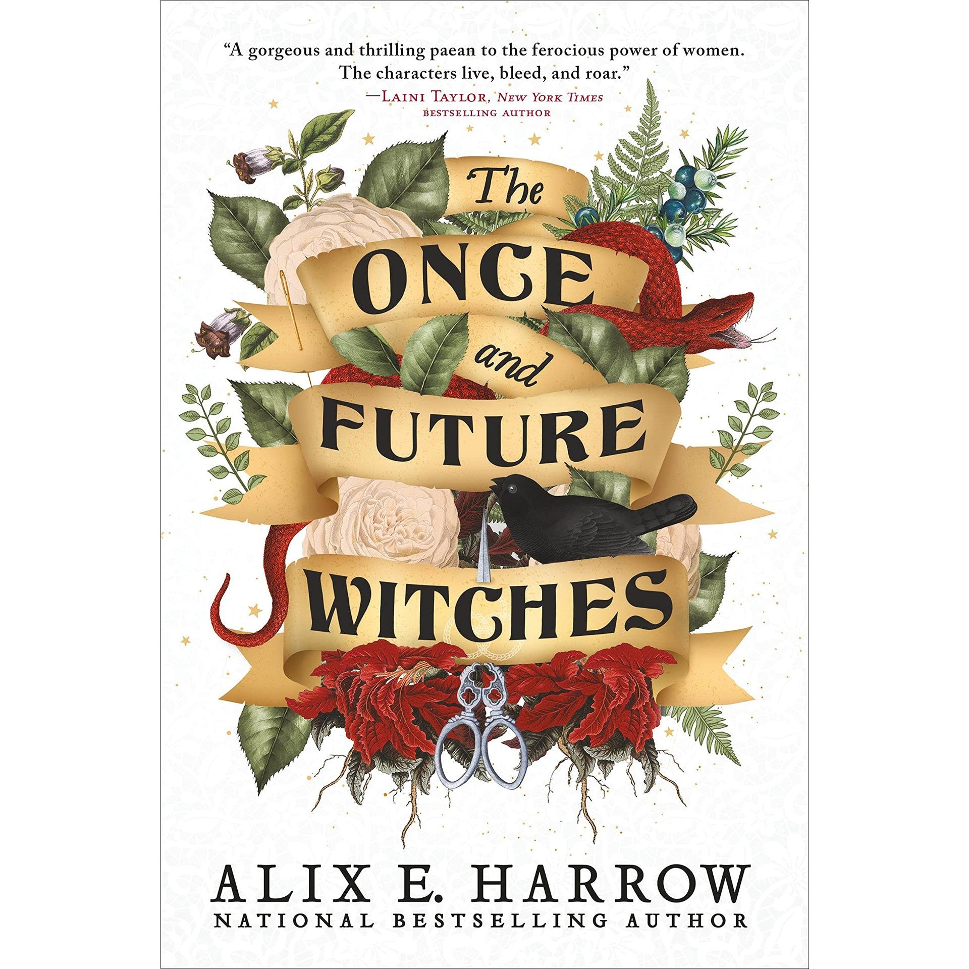 The Once and Future Witches 