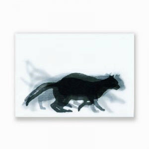 Running Black Cat Postcard
