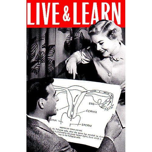 Live And Learn Postcard
