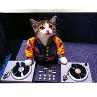 DJ Kitty Postcard