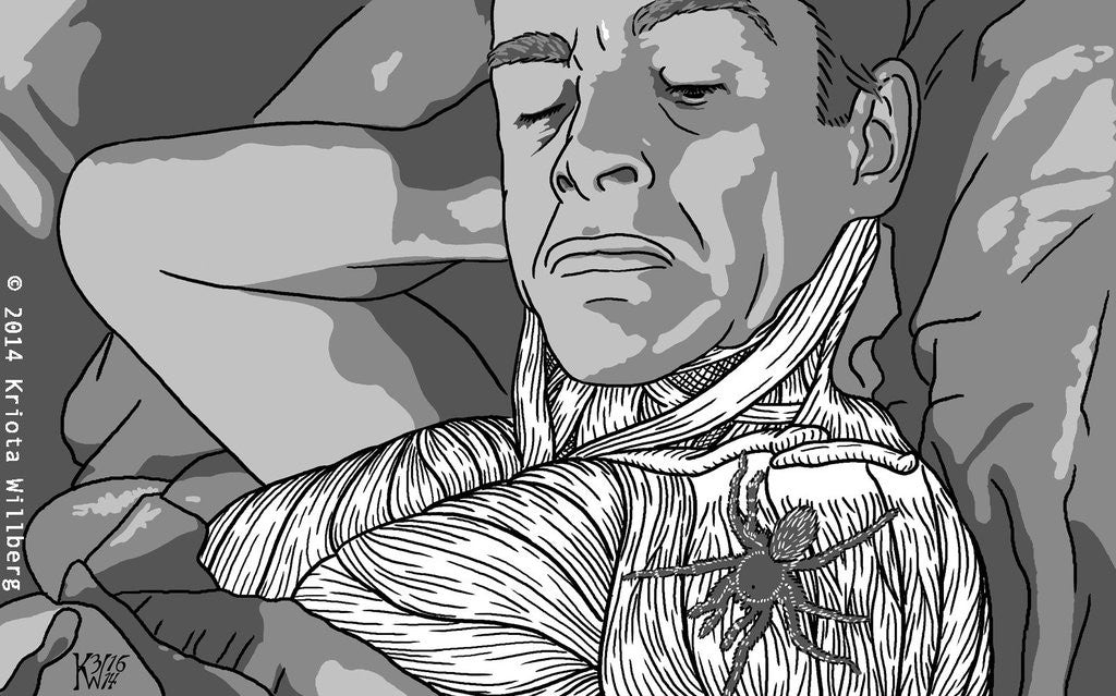 Pictorial Anatomy of 007