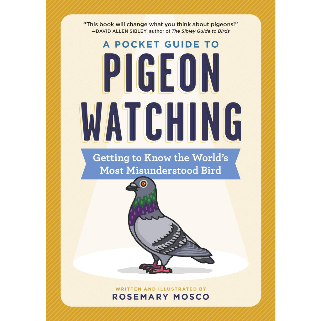 A Pocket Guide to Pigeon Watching: Getting to Know the World's Most Misunderstood Bird
