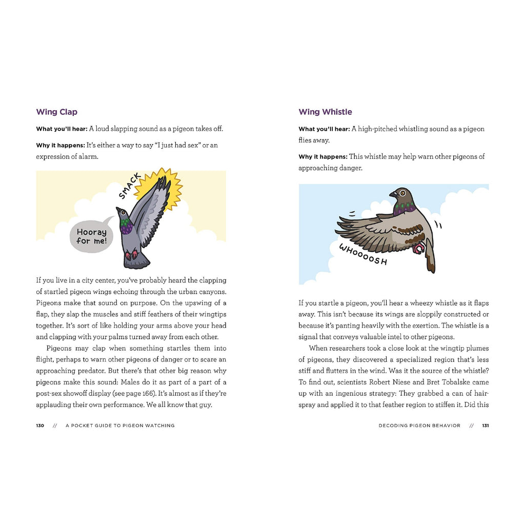 A Pocket Guide to Pigeon Watching: Getting to Know the World's Most Misunderstood Bird
