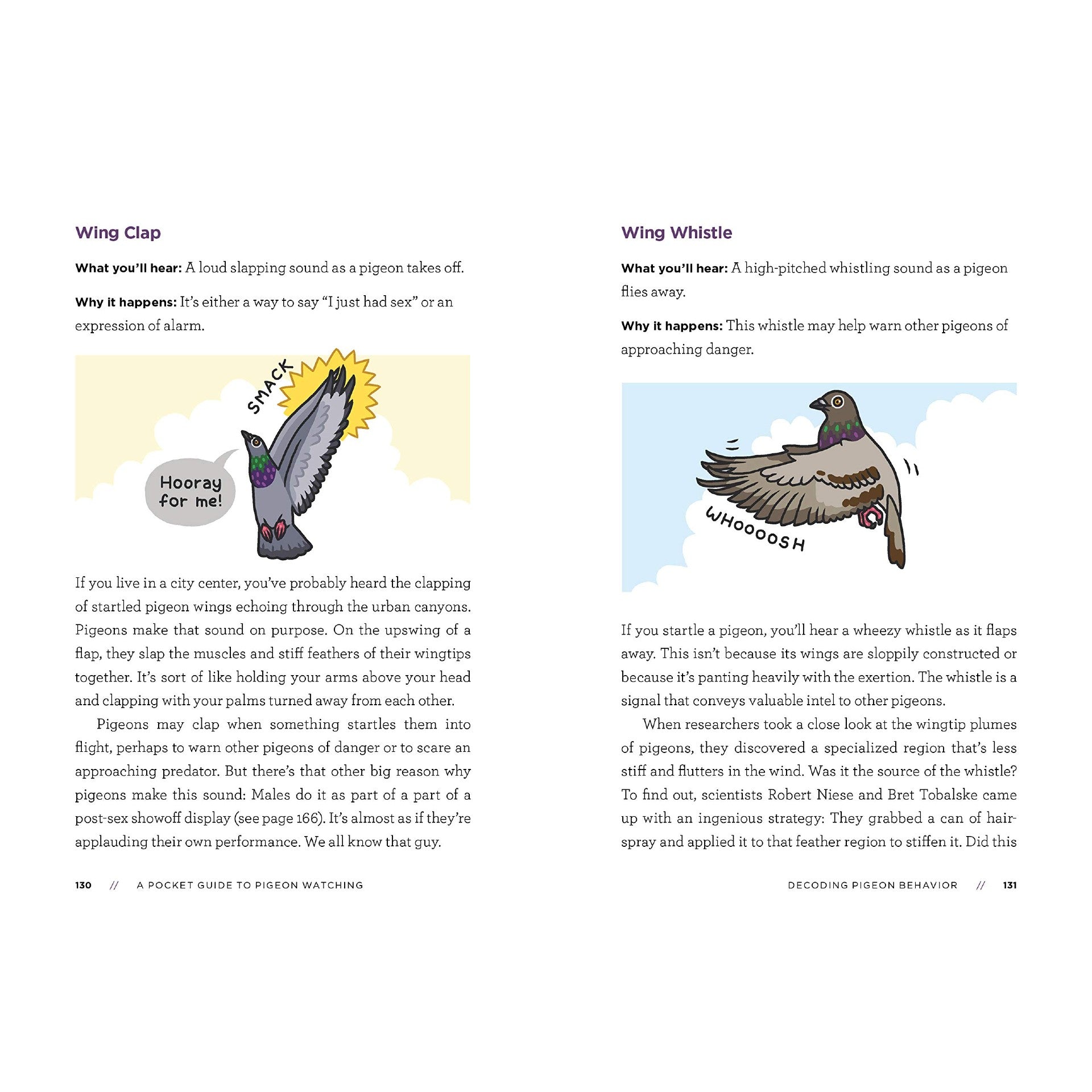 A Pocket Guide to Pigeon Watching: Getting to Know the World's Most Misunderstood Bird