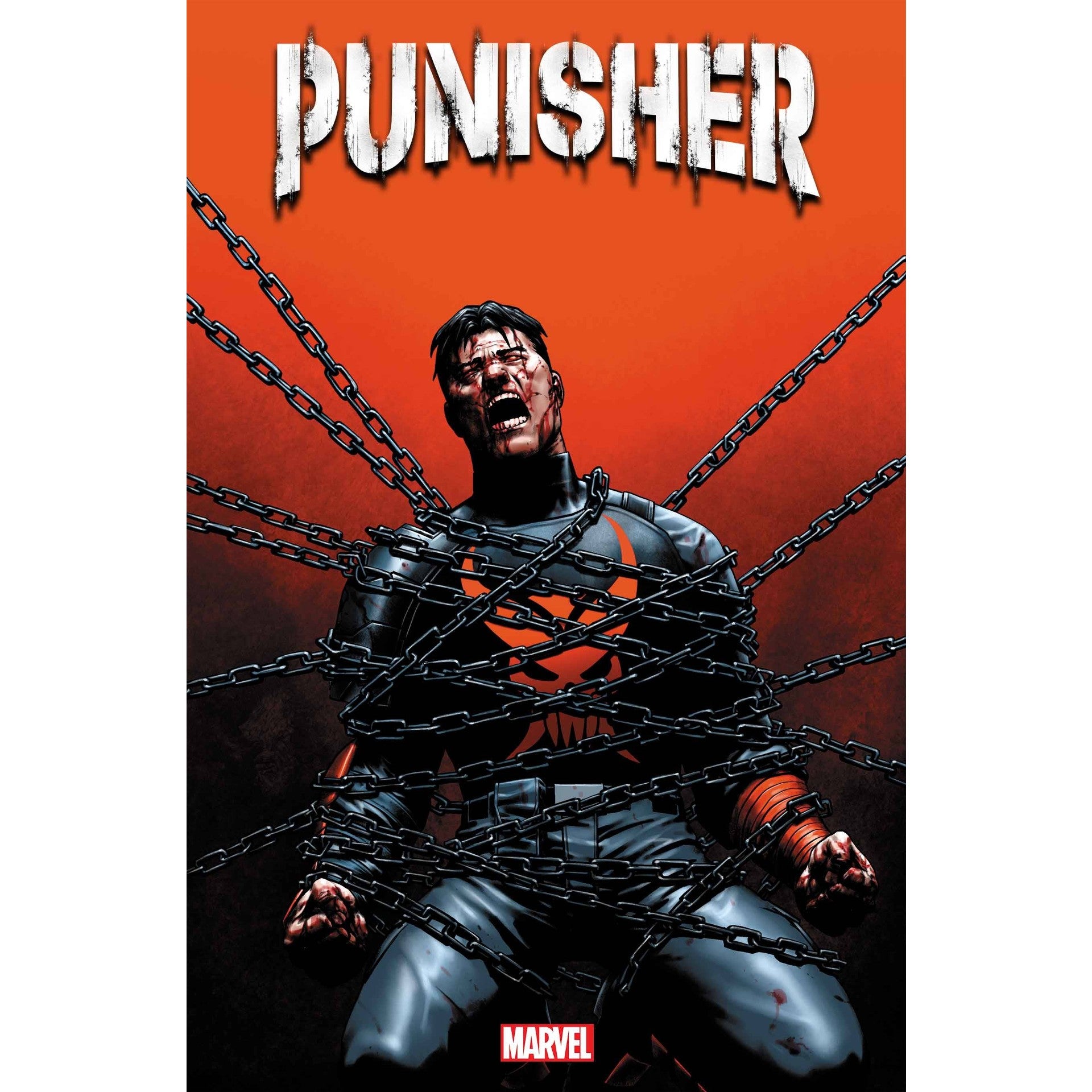 Punisher #12