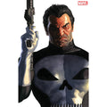 Punisher #1