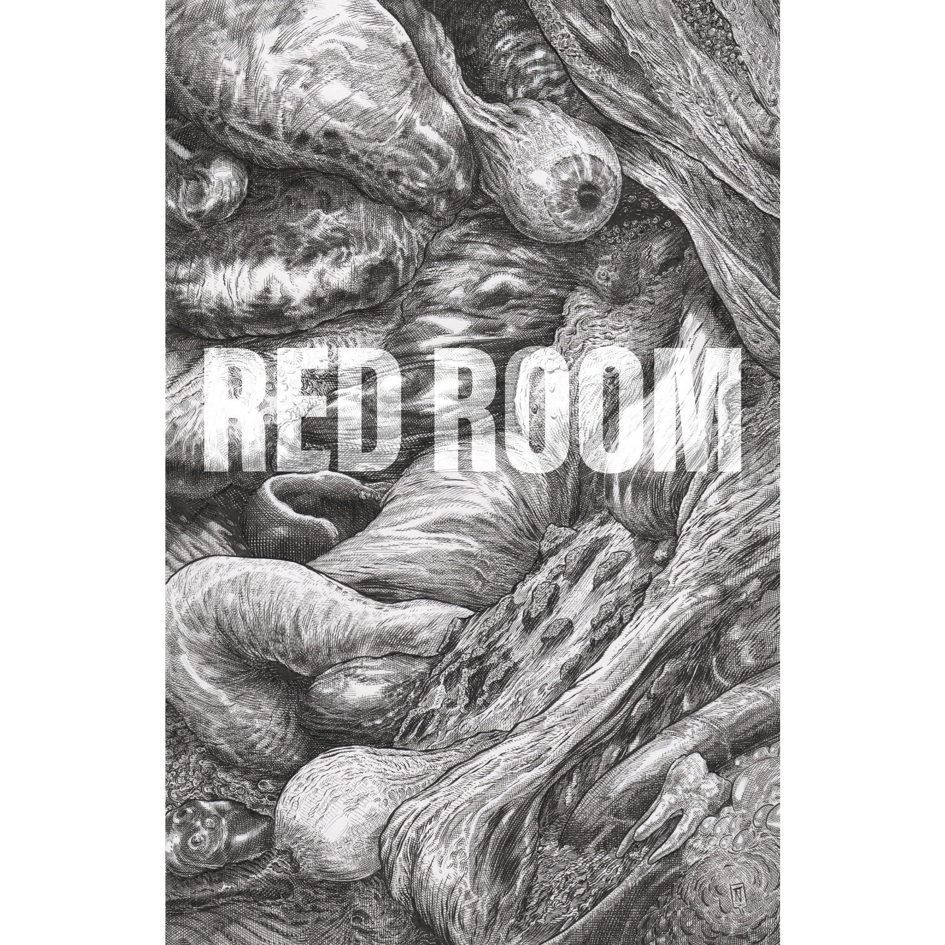 Red Room #2 (variant cover a)