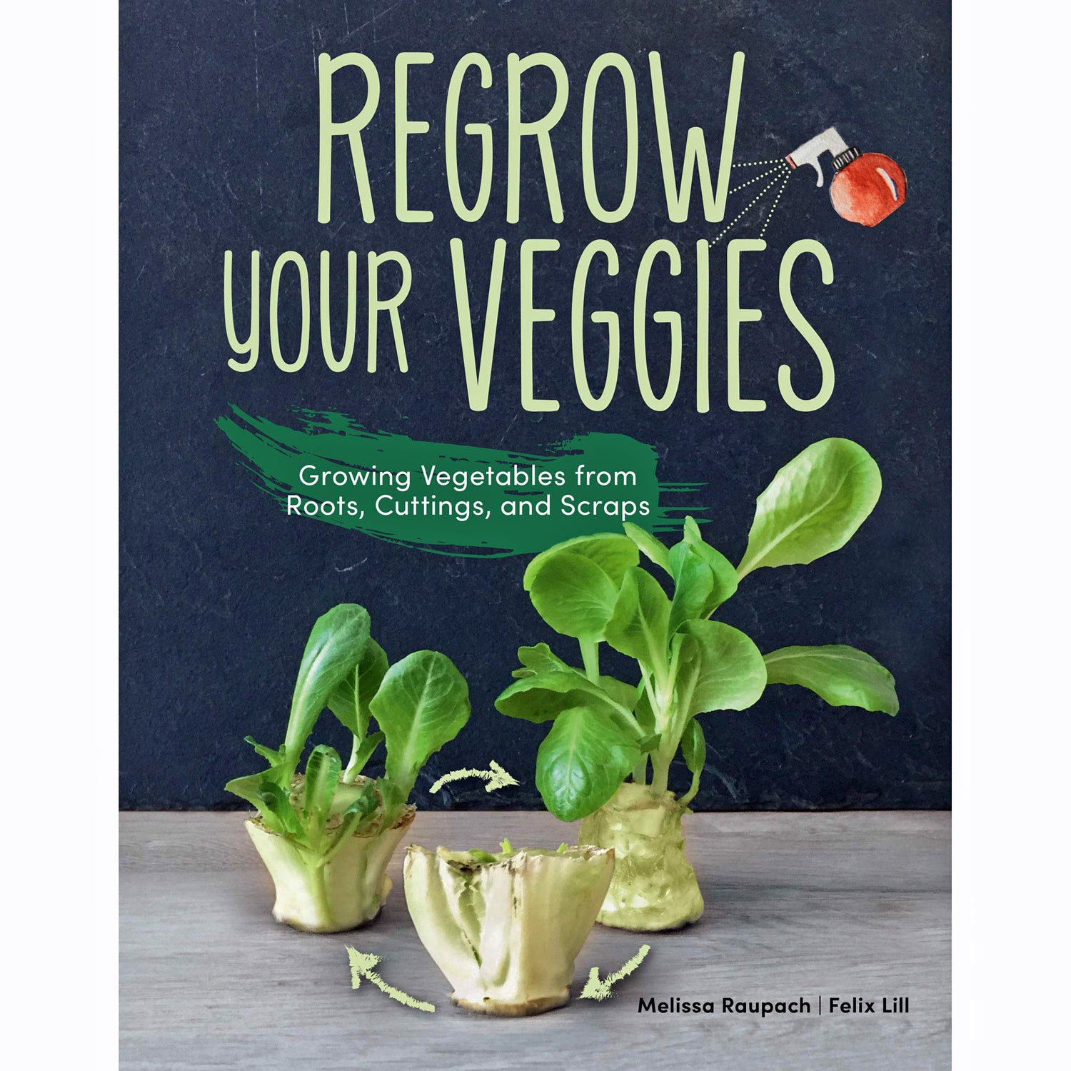 Regrow Your Veggies