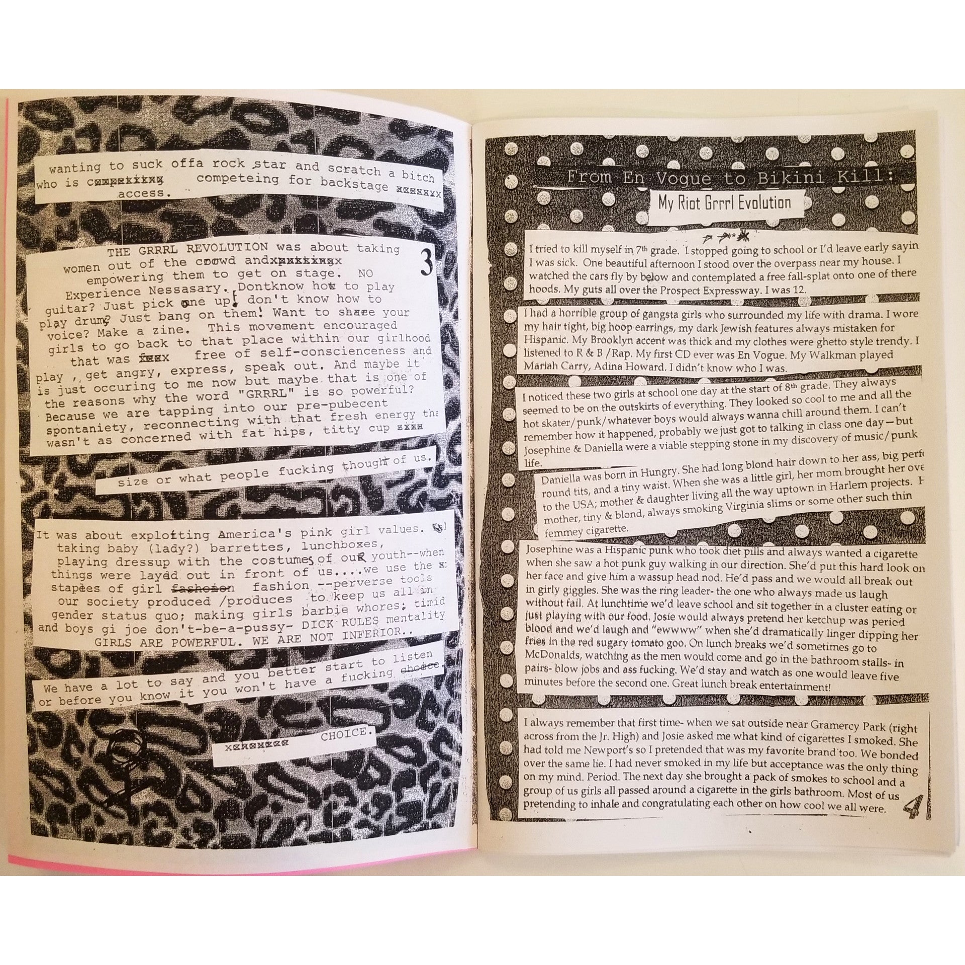 Riot Grrrl Split Zine