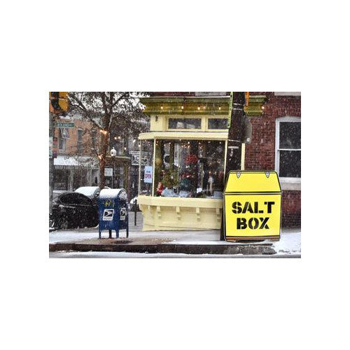 Baltimore Salt Box Enamel Pin