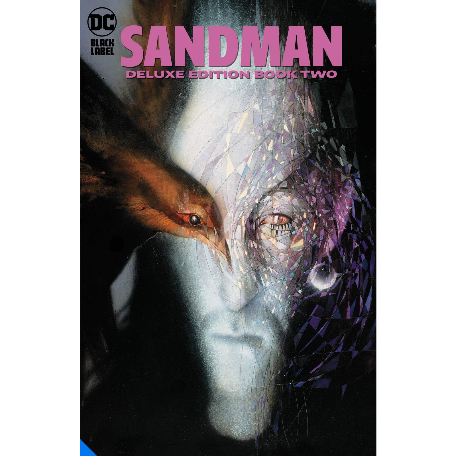 よしださん専用　THE ABSOLUTE SANDMAN VOLUME TWO The Absolute Sandman, Volume Two 2 | Neil Gaiman, Moebius, Dave