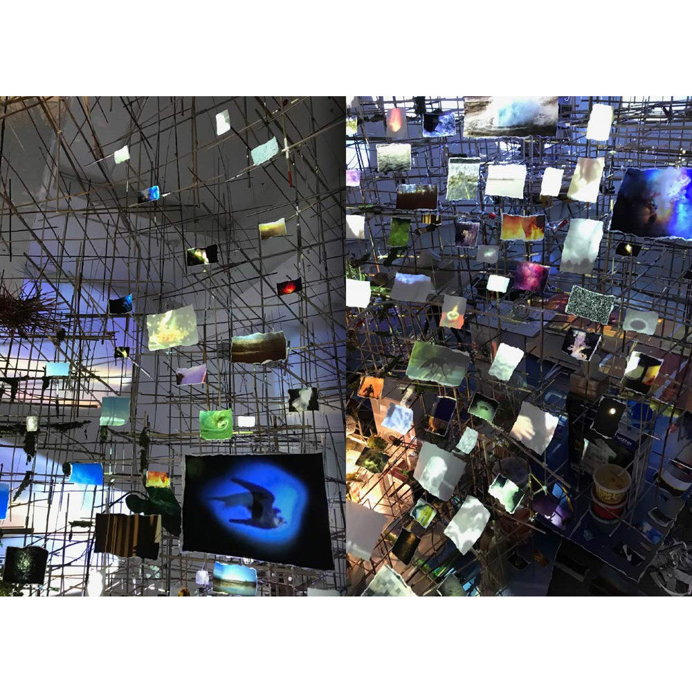 Sarah Sze: Night into Day