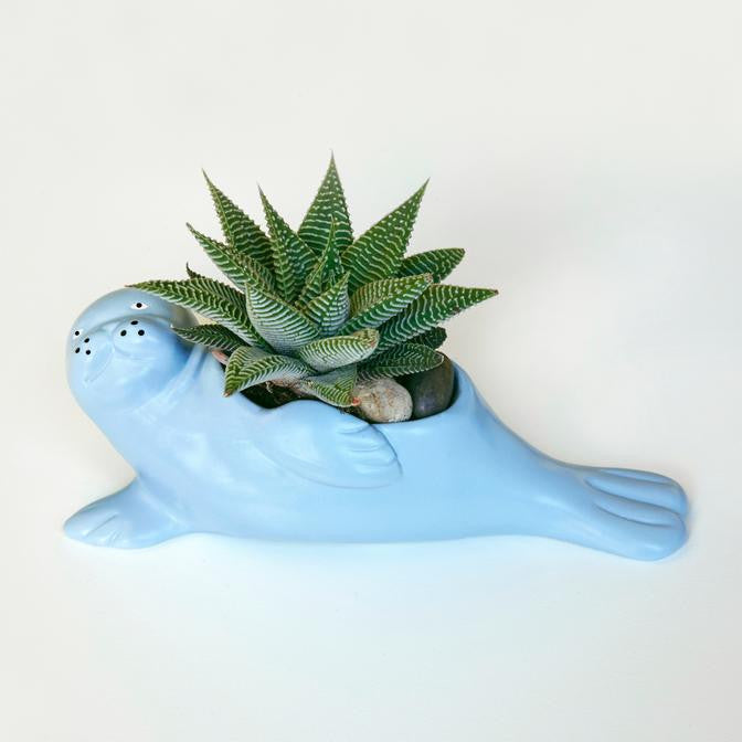 Suki The Seal Pup Planter