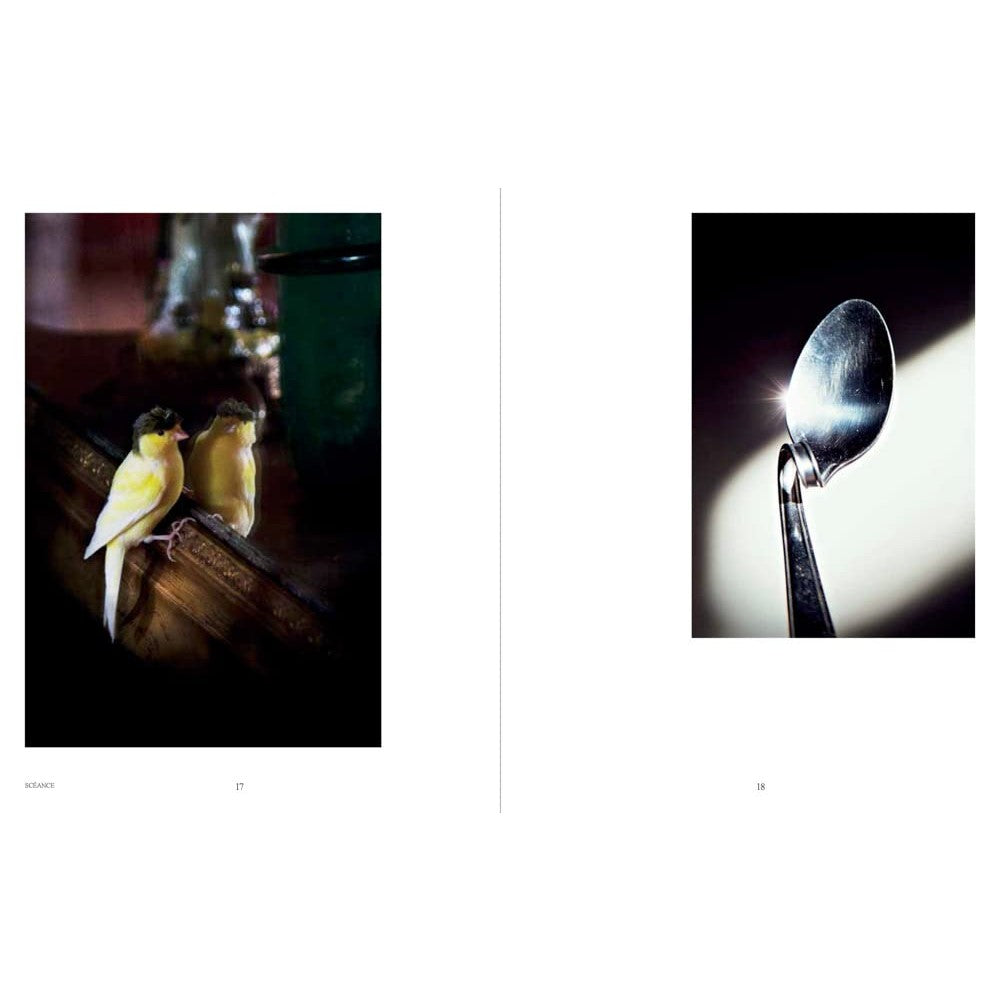 Shannon Taggart: Séance